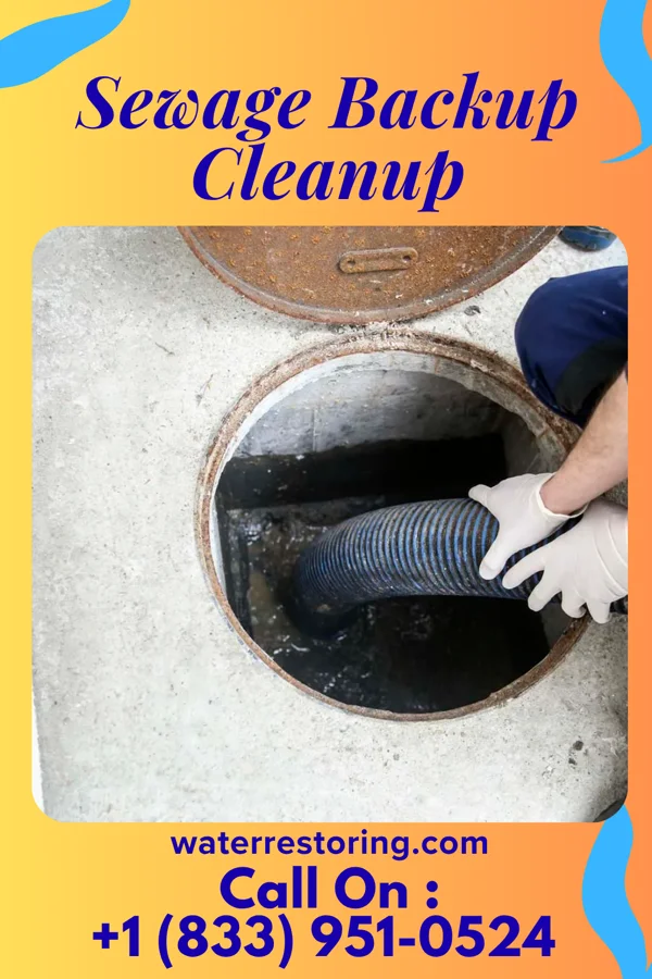 Sewage Backup Cleanup in Schlusser, PA