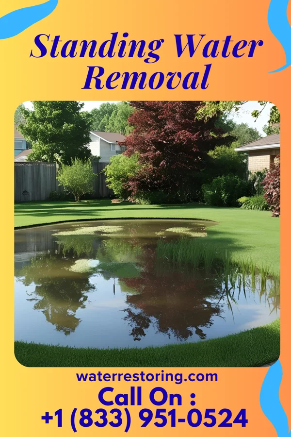 Standing Water Removal in Schlusser, PA
